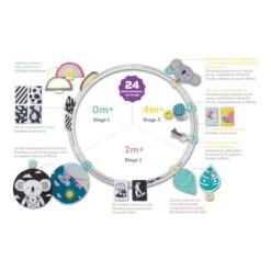 TAF Toys Cerceau D'activités évolutives -Bébé Produits Boutique 0605566125558 0605566125558 3BaseMedia 550Wx550H