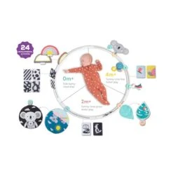 TAF Toys Cerceau D'activités évolutives -Bébé Produits Boutique 0605566125558 0605566125558 4BaseMedia 550Wx550H