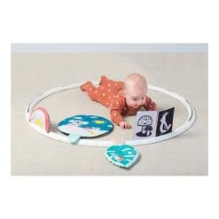TAF Toys Cerceau D'activités évolutives -Bébé Produits Boutique 0605566125558 0605566125558 5BaseMedia 550Wx550H