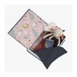 Moulin Roty Coffret Livre Bonne Nuit Après La Pluie -Bébé Produits Boutique 3575677150060 3575677150060 3BaseMedia 550Wx550H