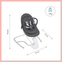 BabyMoov Balancelle Swoon Touch + Adaptateur & Télécommande -Bébé Produits Boutique 3661276169142 3661276169142 8BaseMedia 550Wx550H