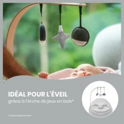 BabyMoov Doomoo Seat'n Swing Transat Et Balancelle 2 En 1 -Bébé Produits Boutique 3661276171077 3661276171077 8BaseMedia 550Wx550H