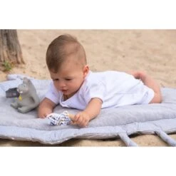 Tapis De Jeu Nomade -Transformable En Sac 110 X 80 Cm -Bébé Produits Boutique 3662159025142 3662159025142 4BaseMedia 550Wx550H