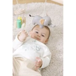 Arche D'éveil Jungle -Bébé Produits Boutique 3700552302832 3700552302832 9BaseMedia 550Wx550H