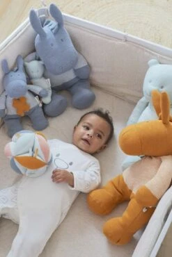 Balle D'activités Les Iconiques -Bébé Produits Boutique 5413042427387 5413042427387 4BaseMedia 550Wx550H