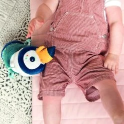 Lilliputiens Rouleau Sonore Pablo -Bébé Produits Boutique 5414834832044 5414834832044 7BaseMedia 550Wx550H