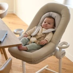 Beaba Transat Up&Down + -Bébé Produits Boutique 550Wx550H 3384349150501 5