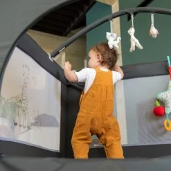 Parc Pliant Prism Sophie La Girafe -Bébé Produits Boutique 550Wx550H 3496181212092 6