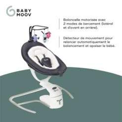 BabyMoov Balancelle Swoon Motion -Bébé Produits Boutique 550Wx550H 3661276014763 3