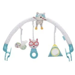 Badabulle Arche D'activités Universelle Racoon