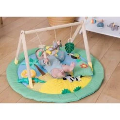 Arche D'éveil Jungle -Bébé Produits Boutique 550Wx550H 3700552302832 3