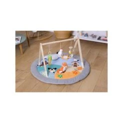 Arche D'éveil Ferme -Bébé Produits Boutique 550Wx550H 3700552302849 4