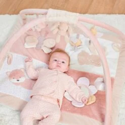 NATTOU Tapis D'éveil Avec Arches Alice Et Pomme -Bébé Produits Boutique 550Wx550H 5414673485241 3