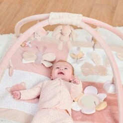 NATTOU Tapis D'éveil Avec Arches Alice Et Pomme -Bébé Produits Boutique 550Wx550H 5414673485241 4