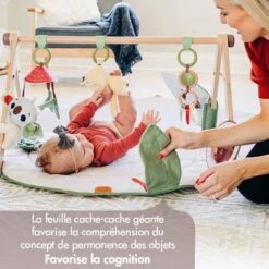 Tiny Love Tapis D'éveil Ultra Confort Et Arche En Bois -Bébé Produits Boutique 7290108862614 7290108862614 8BaseMedia 550Wx550H