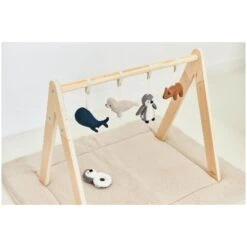 Jollein Arche D'éveil Bois -Bébé Produits Boutique 8717329364608 8717329364608 5BaseMedia 550Wx550H